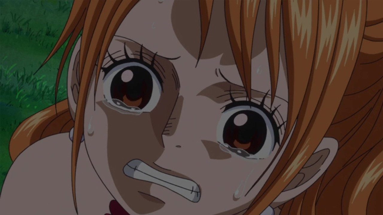 One Piece 19x853