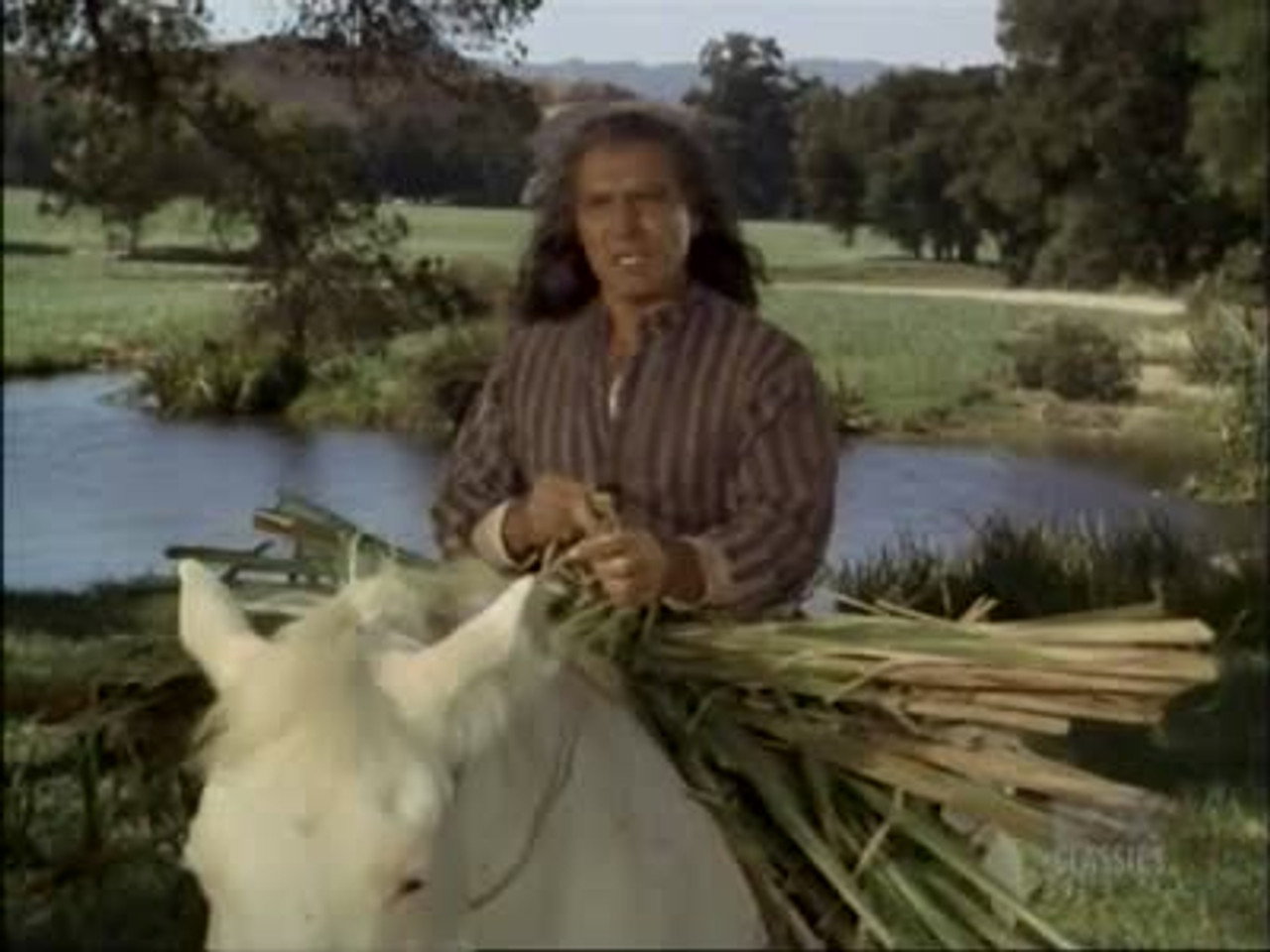 Bonanza 6x14