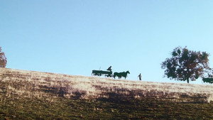 El largo camino a casa