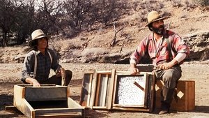 El país del Oro: Parte 1
