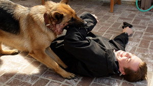 Chapas de perro