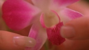 La maldición de Orchid