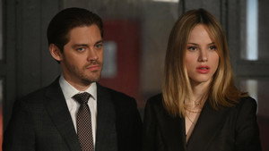 Los profesionales