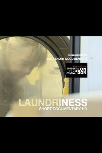 Cartel de Laundriness