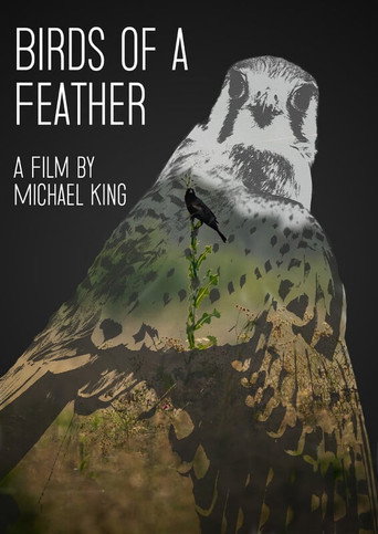 Cartel de Birds of a Feather