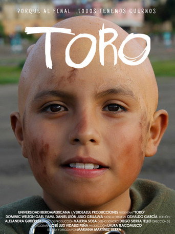 Cartel de TORO