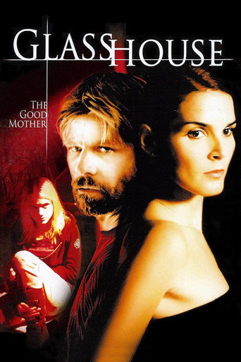 Cartel de La casa de cristal