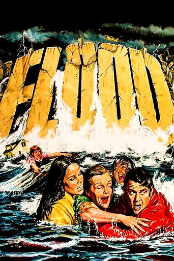 Cartel de Inundación