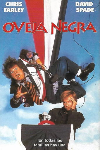 Cartel de Oveja negra