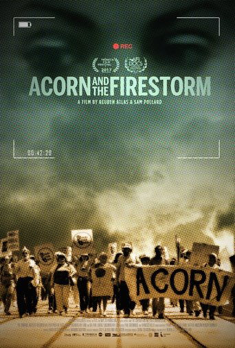 Cartel de Acorn and the Firestorm