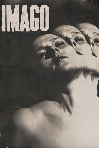 Cartel de Imago