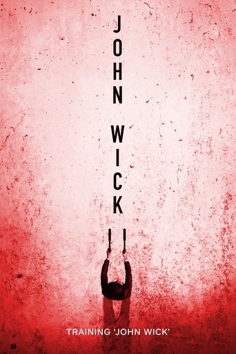 Cartel de Training 'John Wick'