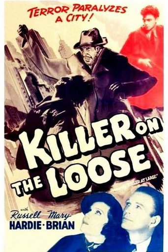 Cartel de Killer at Large