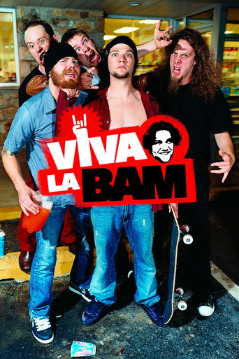 Cartel de Viva La Bam