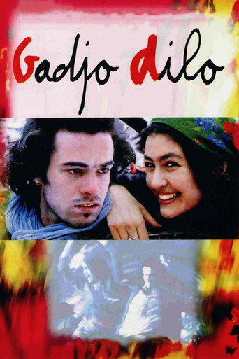 Cartel de Gadjo Dilo