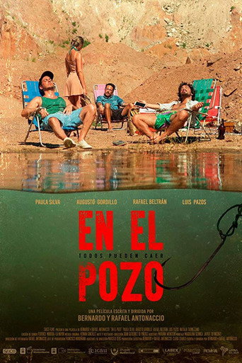 Cartel de En el pozo