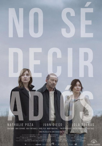 Cartel de No sé decir adiós