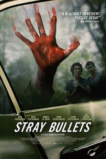 Cartel de Stray Bullets