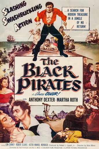 Cartel de The Black Pirates