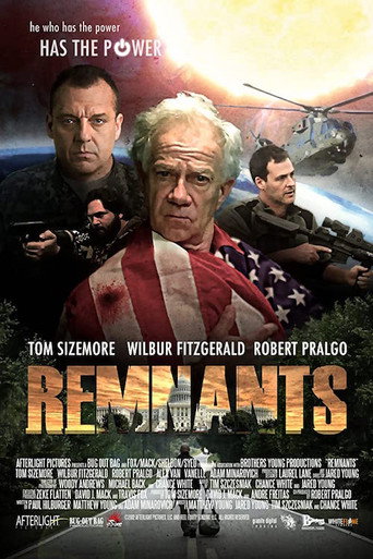 Cartel de Remnants