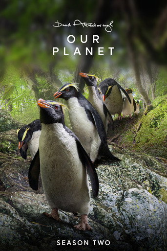 Nuestro planeta II