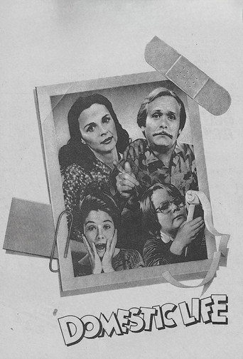 Cartel de Domestic Life