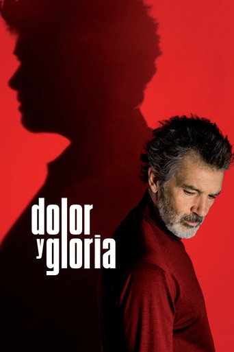 Cartel de Dolor y gloria
