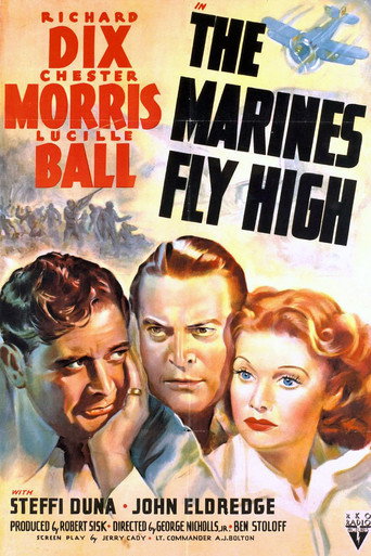 Cartel de The Marines Fly High