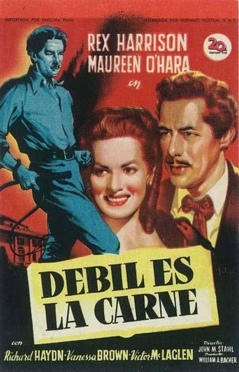 Cartel de Débil es la carne