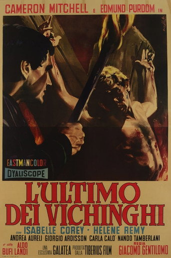 Cartel de El último vikingo