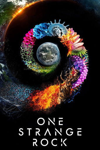 Cartel de One Strange Rock