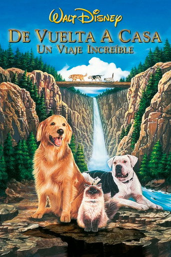 Cartel de De vuelta a casa: Un viaje increíble