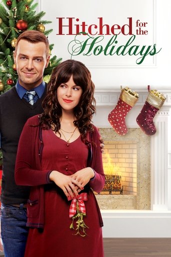 Cartel de Busco pareja por Navidad