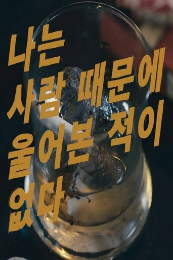 Cartel de 나는 사람 때문에 울어본 적이 없다