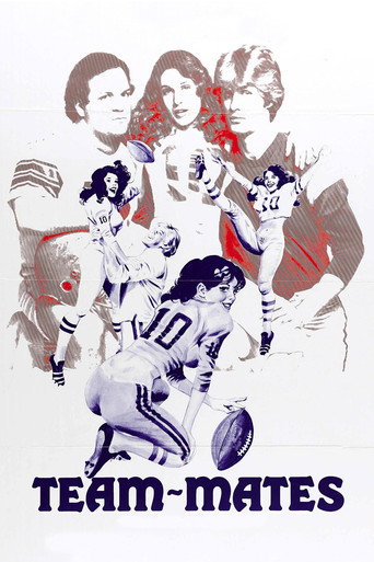 Cartel de Team-Mates