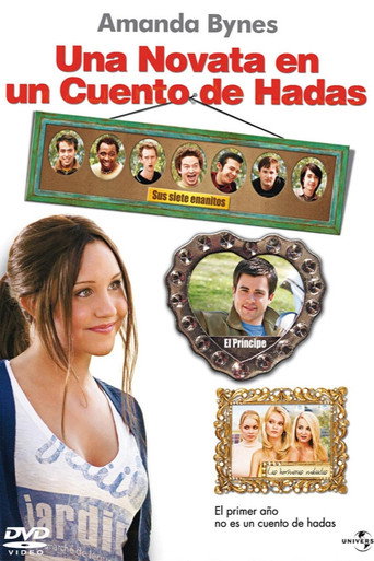 Cartel de Una novata en un cuento de hadas