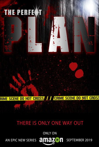 Cartel de The Perfect Plan