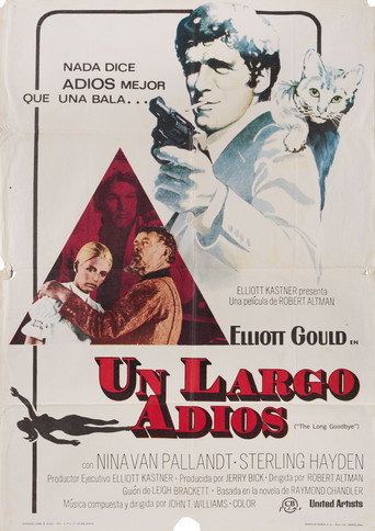 Cartel de Un largo adiós