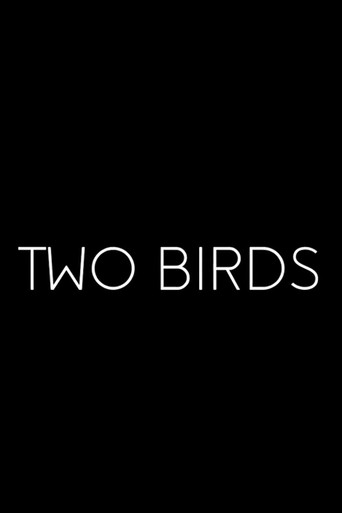 Cartel de Two Birds