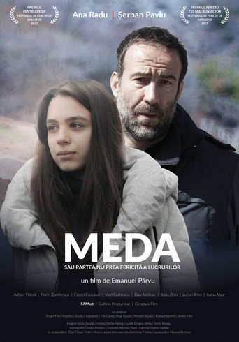 Cartel de Meda o la parte no tan feliz de las cosas
