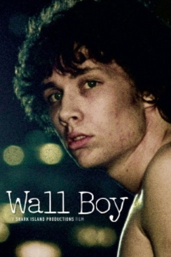 Cartel de Wall Boy