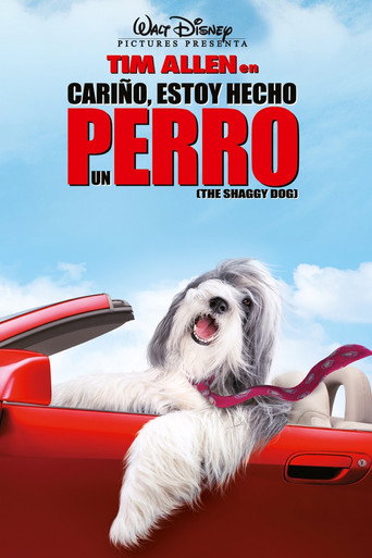 Cartel de Cariño, estoy hecho un perro