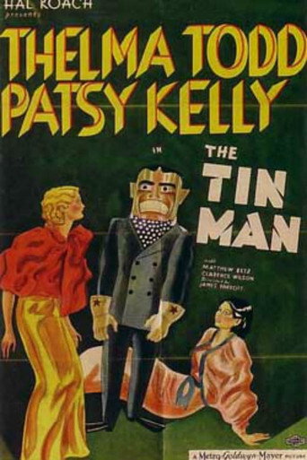 Cartel de The Tin Man