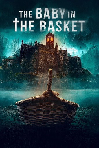 Cartel de The Baby in the Basket