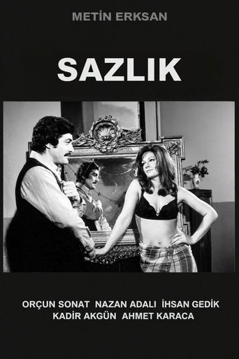 Cartel de Sazlık