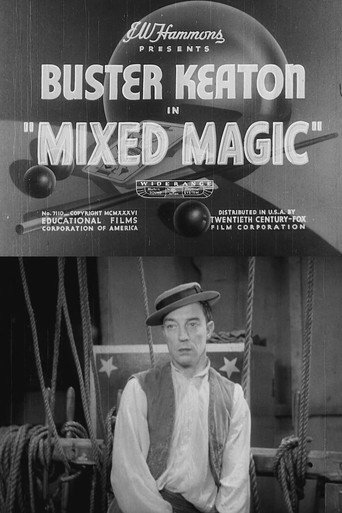 Cartel de Mixed Magic