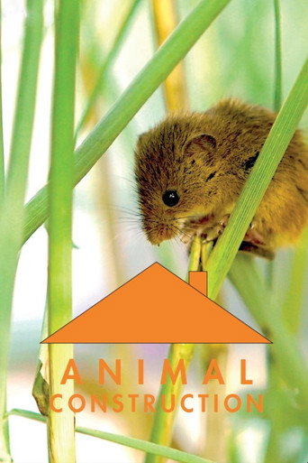Cartel de Constructions animales