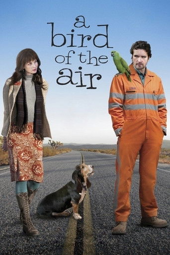 Cartel de A Bird of the Air