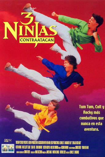 Cartel de 3 ninjas contraatacan