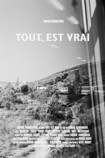 Cartel de Tout est vrai